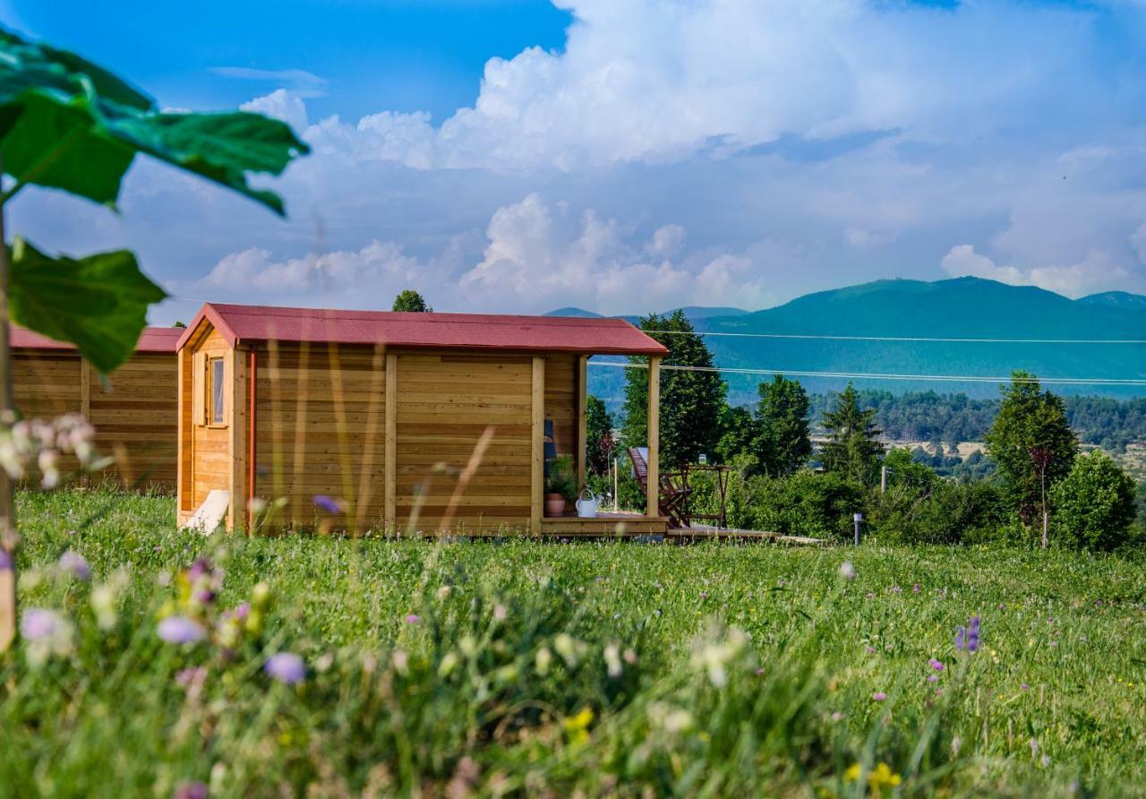 فندق Camp The Sunrise Hill بيفكا المظهر الخارجي الصورة